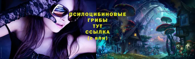 Псилоцибиновые грибы MAGIC MUSHROOMS  Балей 